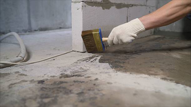 24/7 Emergency Wet Basement Repair experts in Highland Park, IL